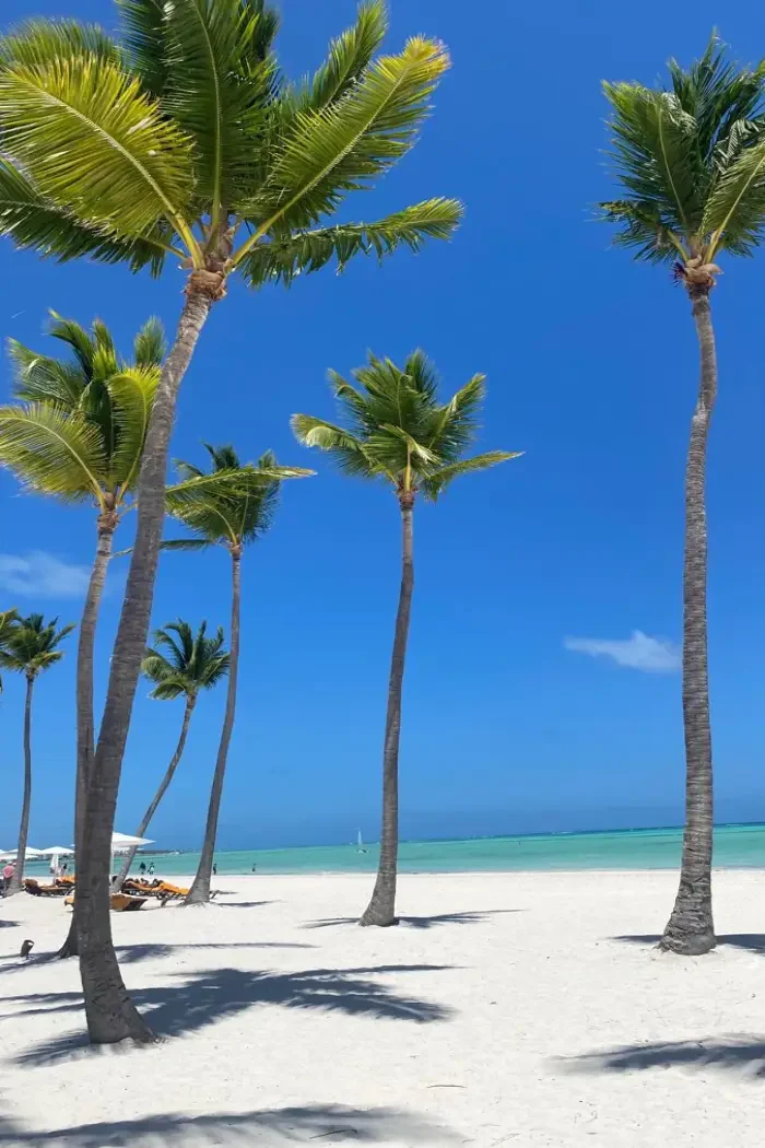 punta cana beach